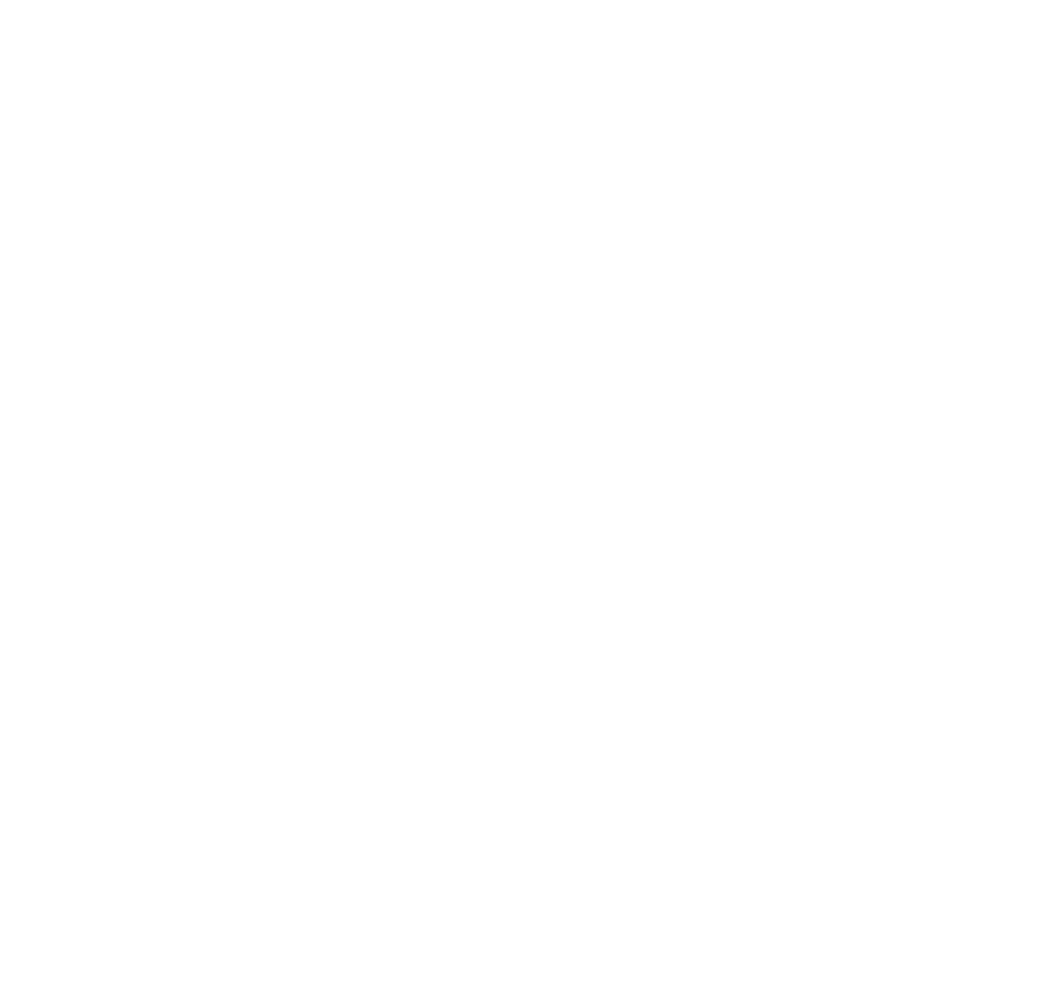 logo light